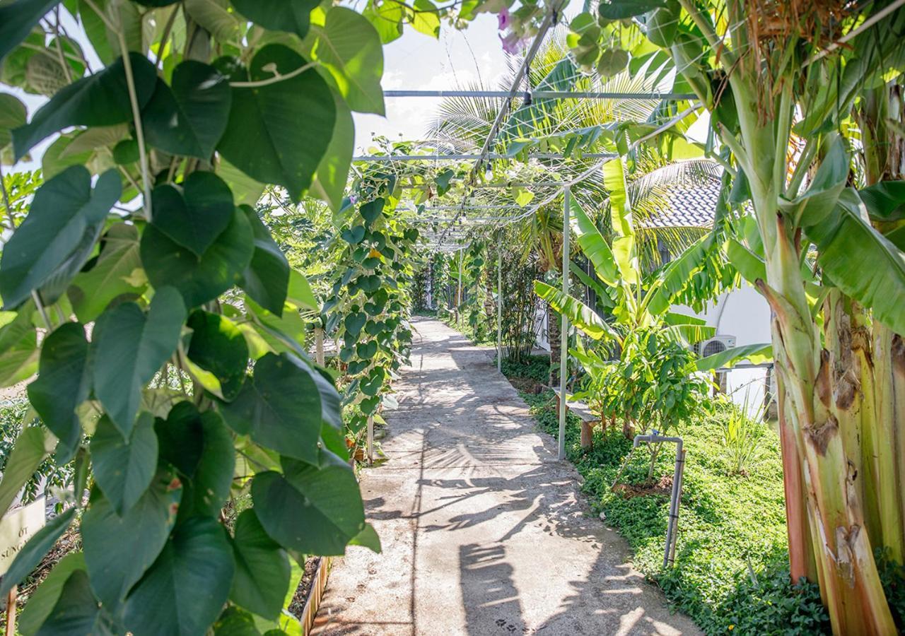 Lua Farmstay 巴地市 外观 照片