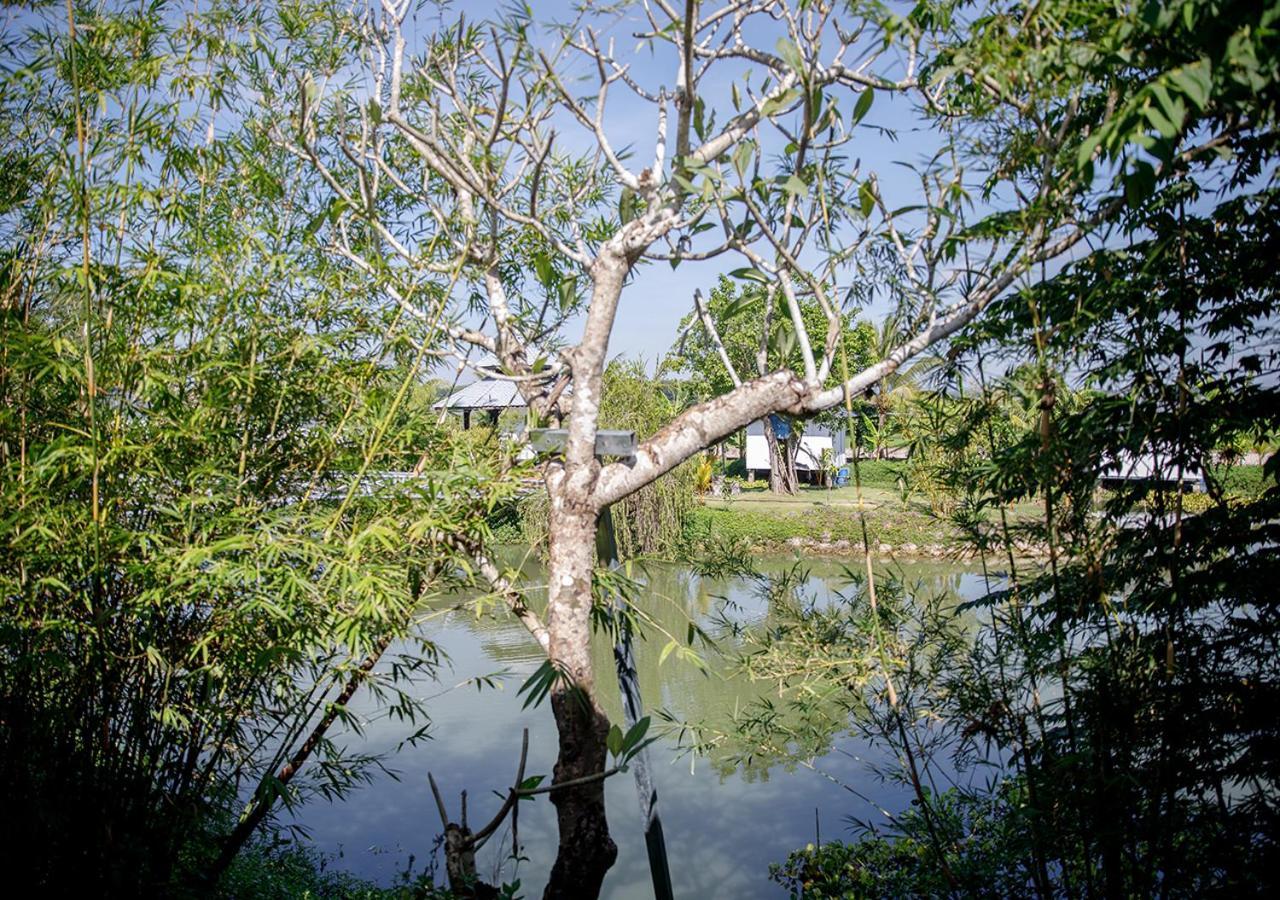 Lua Farmstay 巴地市 外观 照片